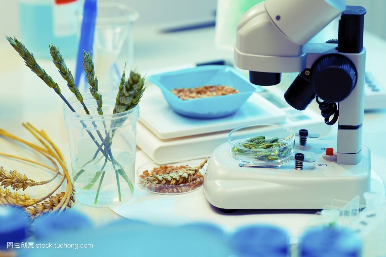 山東實(shí)驗(yàn)臺(tái)