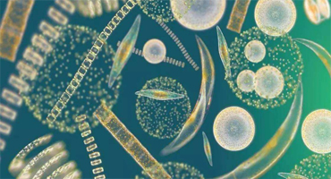 萬級微生物實驗室設計裝修是怎樣的